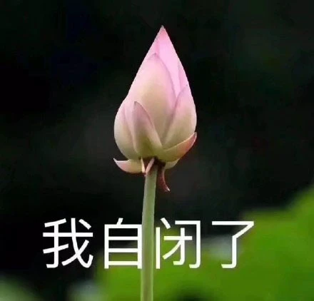 _2