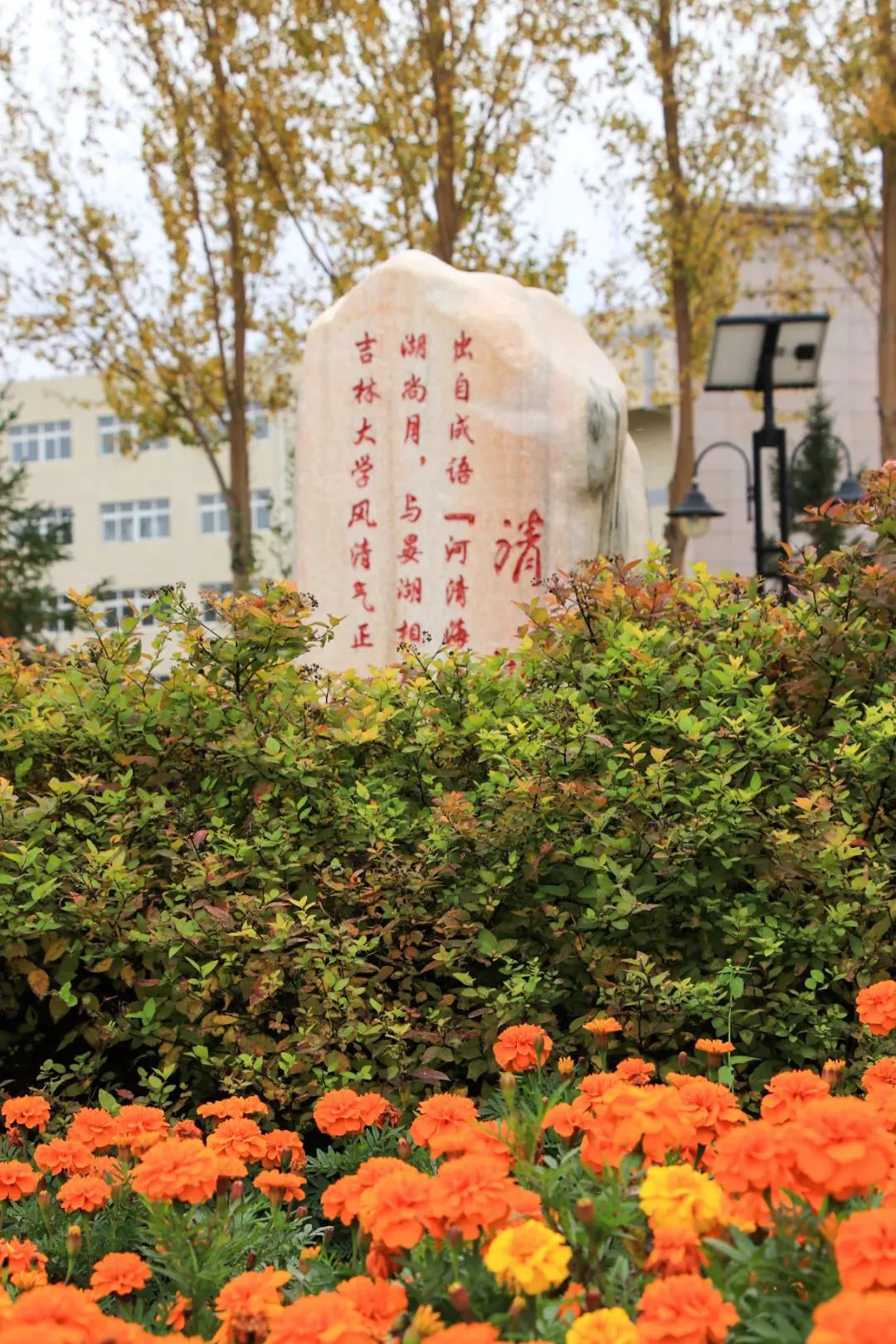 哪里可以找到关于篮球心理训练的资源_0